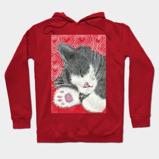 Sleeping kitten cat Hoodie